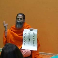 Rajahamsa Swami Nityananda Giri explains the human spine